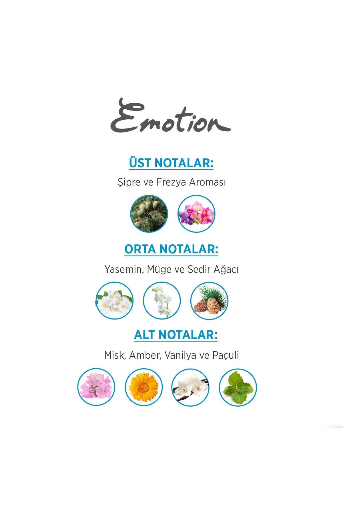 Emotion Ocean EDT Fresh Parfüm 50ml