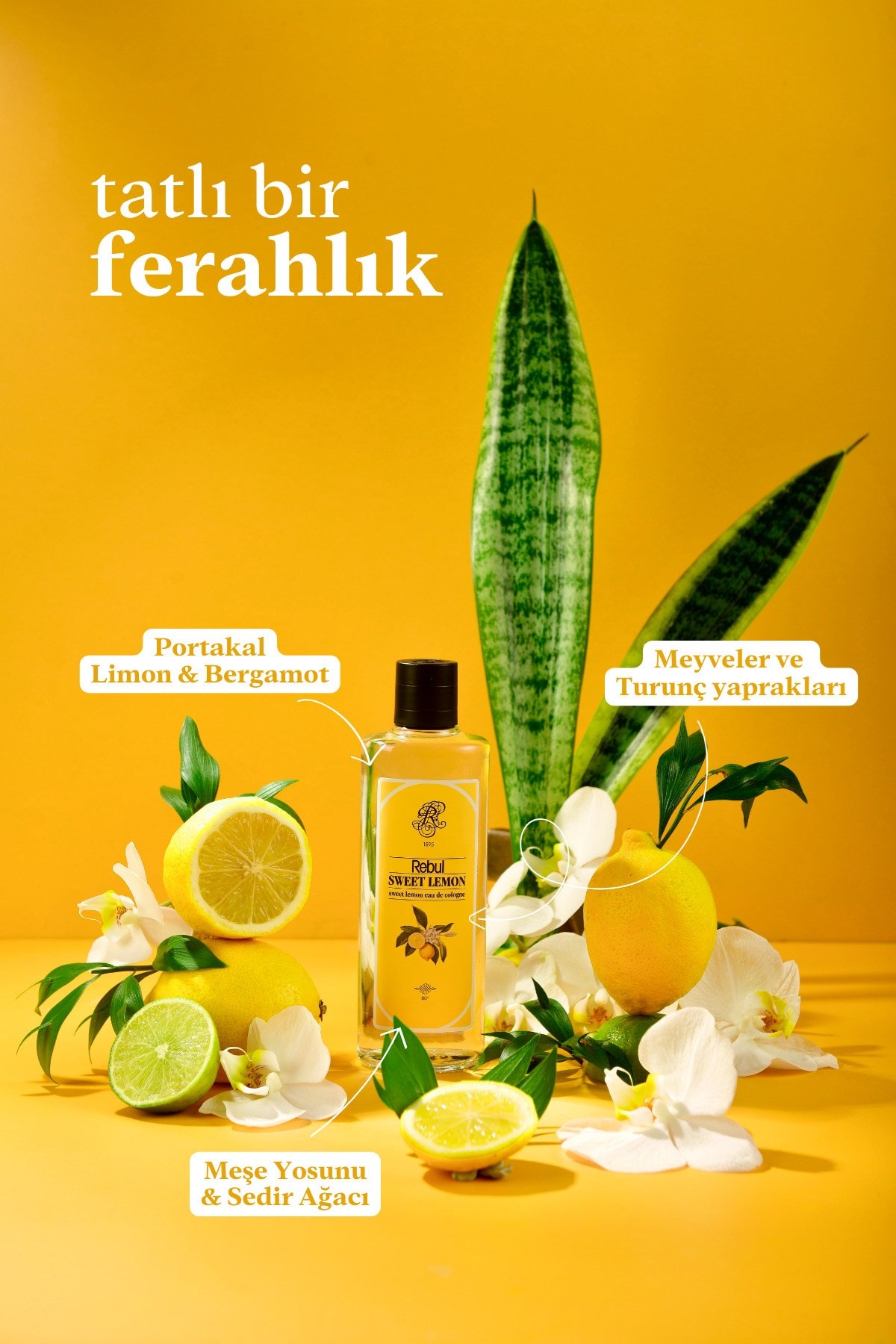 Rebul Sweet Lemon Edc Limon Kolonyası 250 Ml