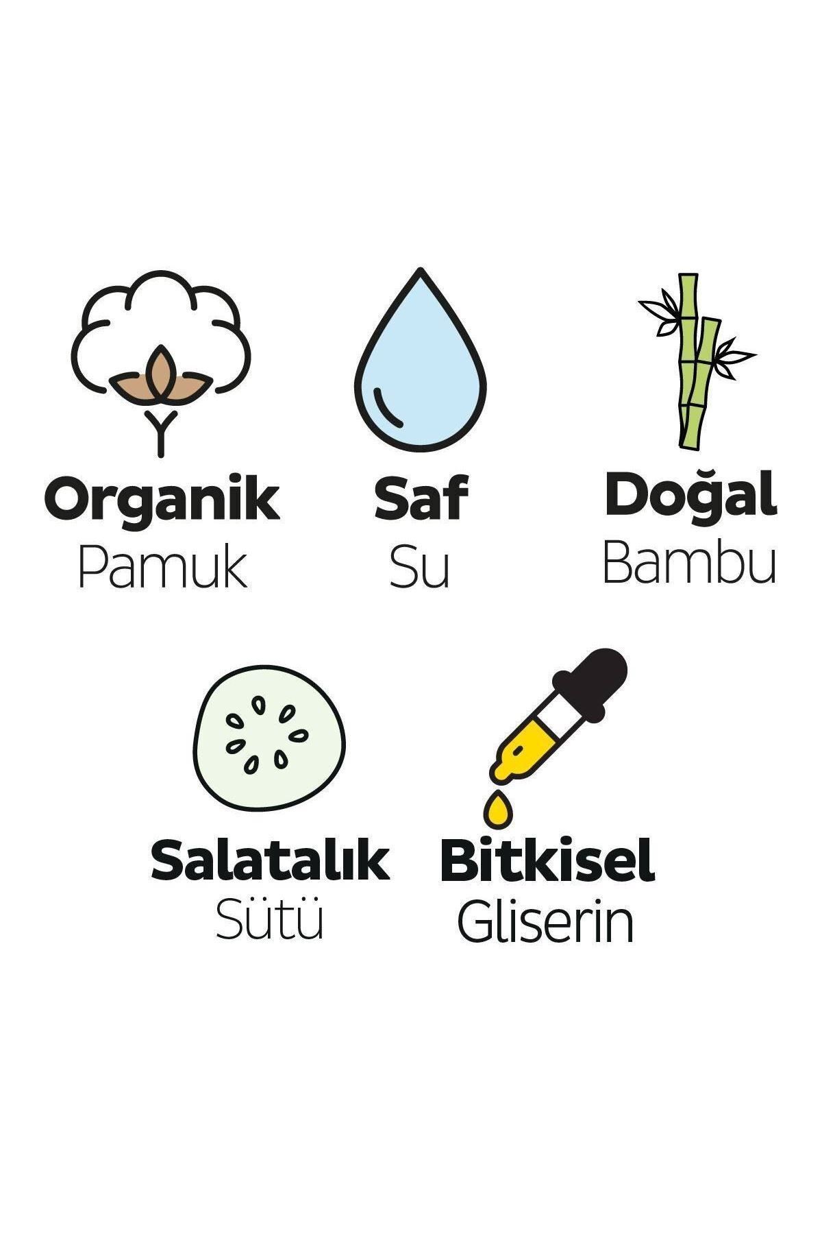 Natural Yenidoğan Islak Bebek Havlusu 60'lı X 6 Adet
