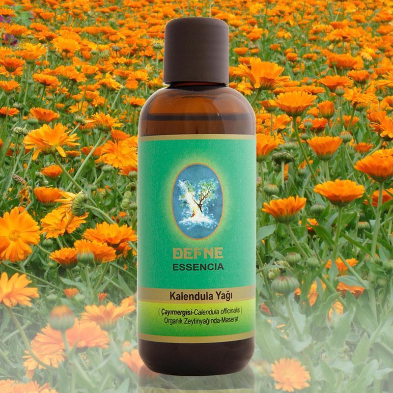 Kalendula yağı-Organik zeytin yağında* 100 ml