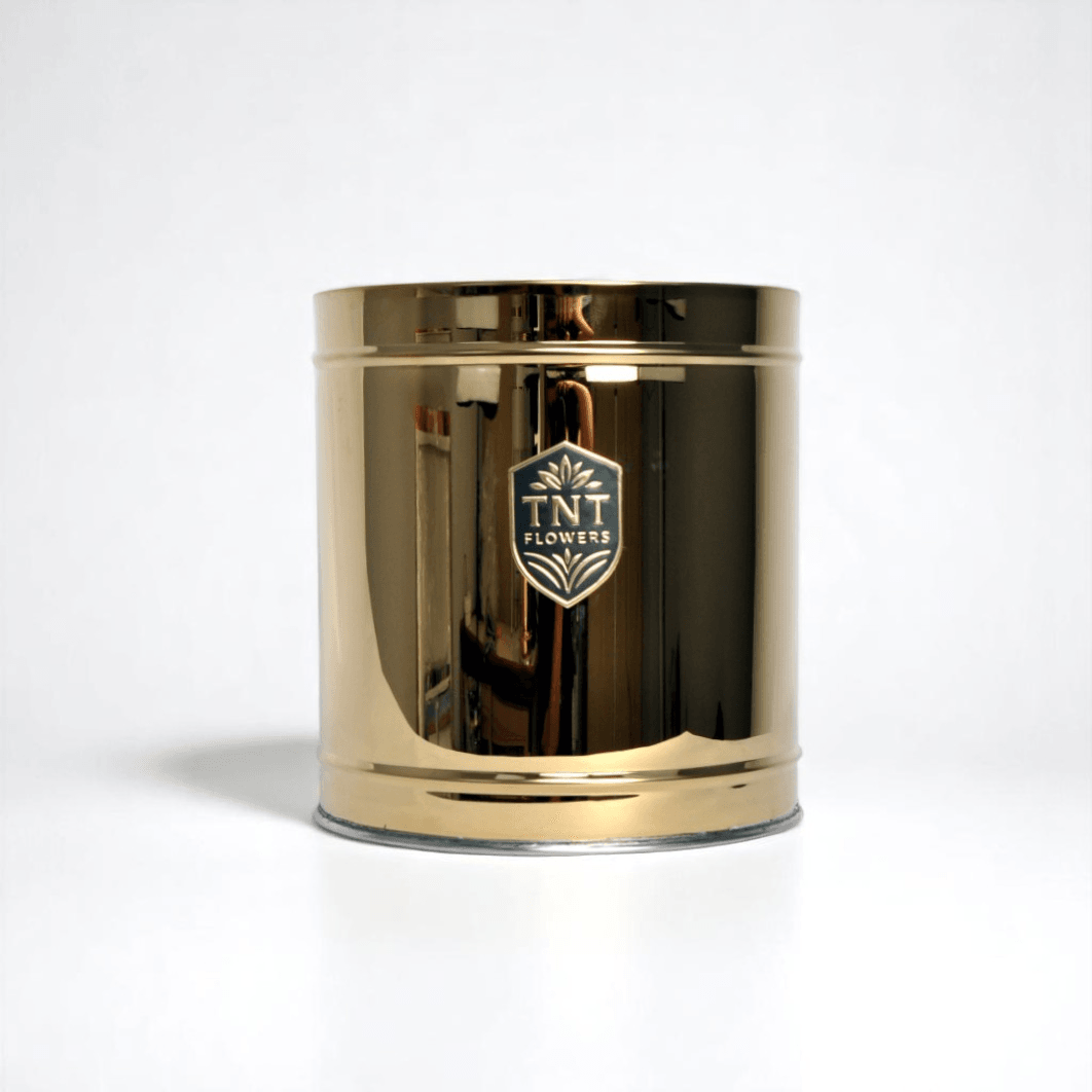 DUBAİ GOLD İKİLİ METAL SAKSI