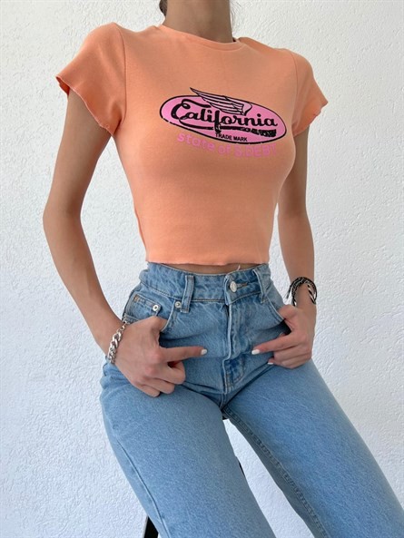 California State Crop Basic Somon