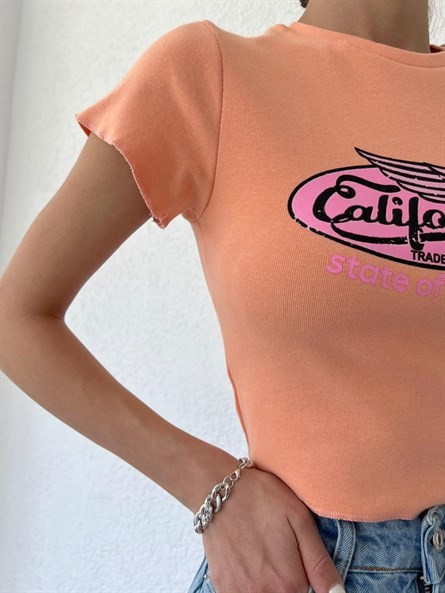 California State Crop Basic Somon
