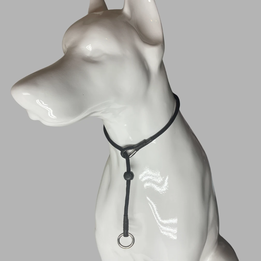 Köpek Eğitim Tasması, Kolay Yürüşüyüş 