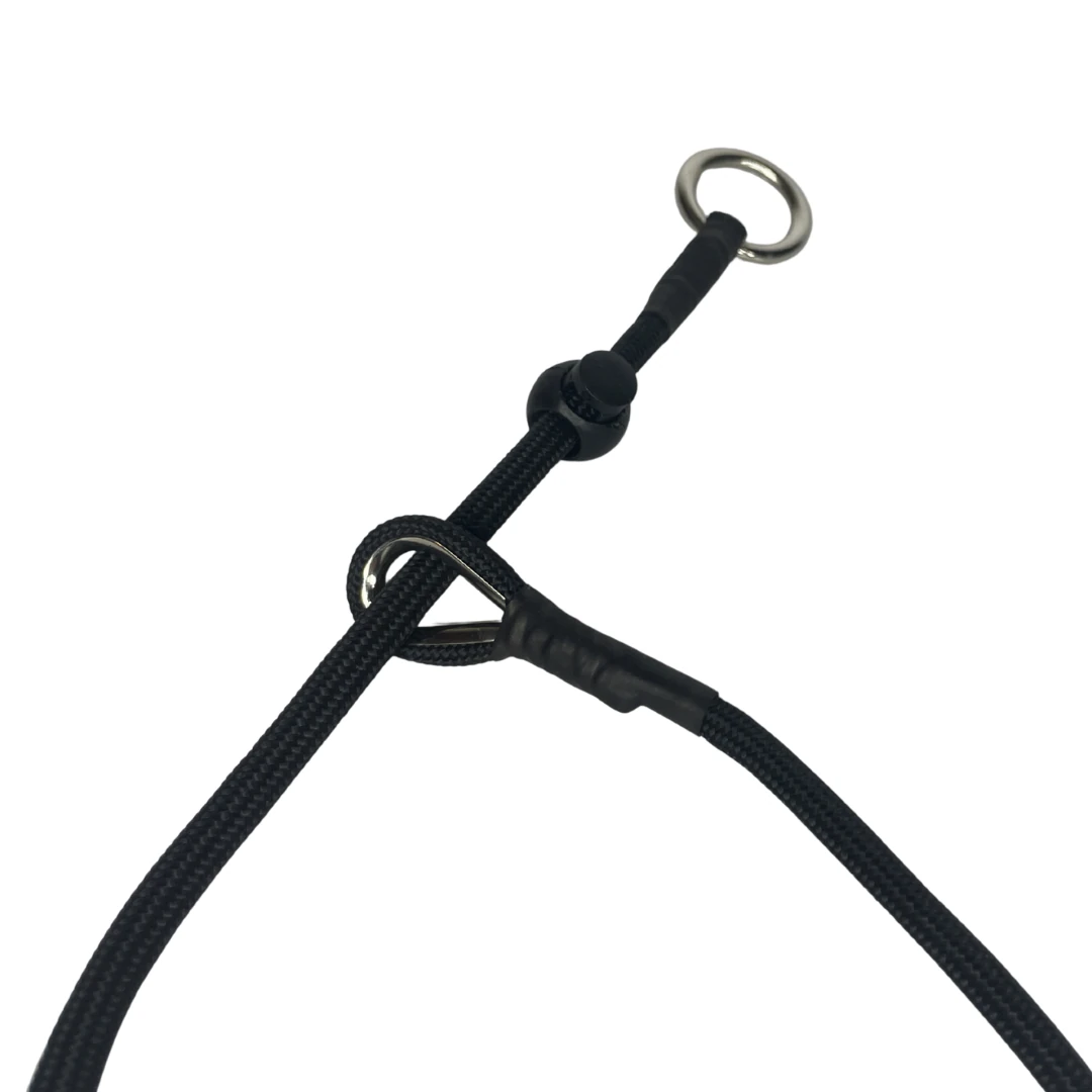 Köpek Eğitim Tasması, Kolay Yürüşüyüş 