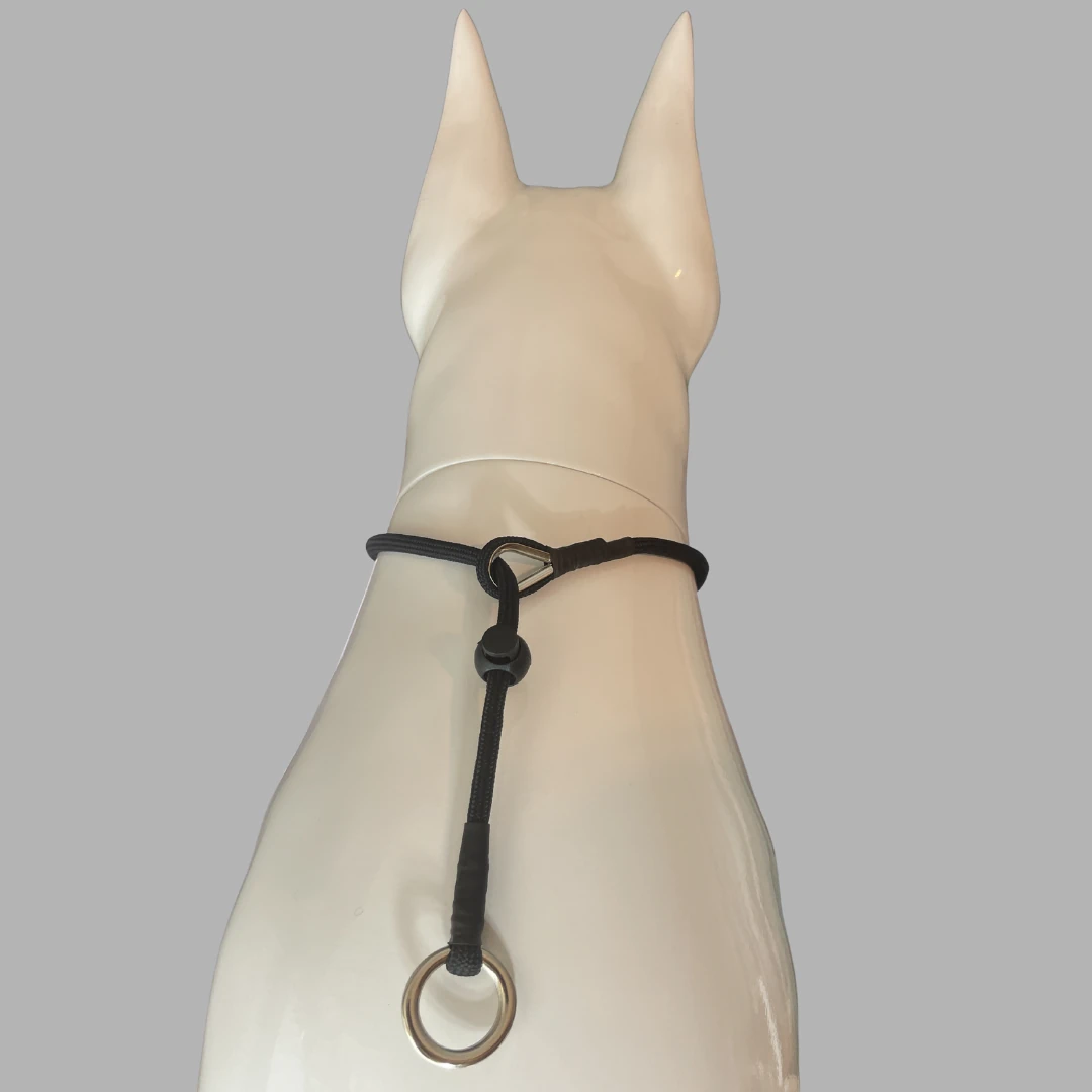 Köpek Eğitim Tasması, Kolay Yürüşüyüş 