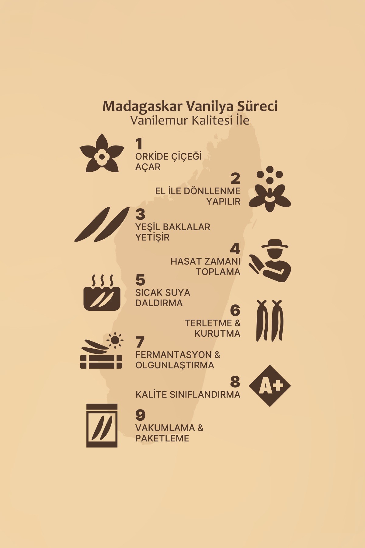 Vanilya Çubuğu 1 KG (Yeni Hasat) Madagaskar Vanilyası [L] 