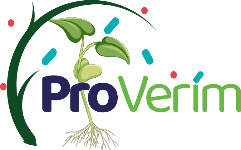 Proverim Sunumları