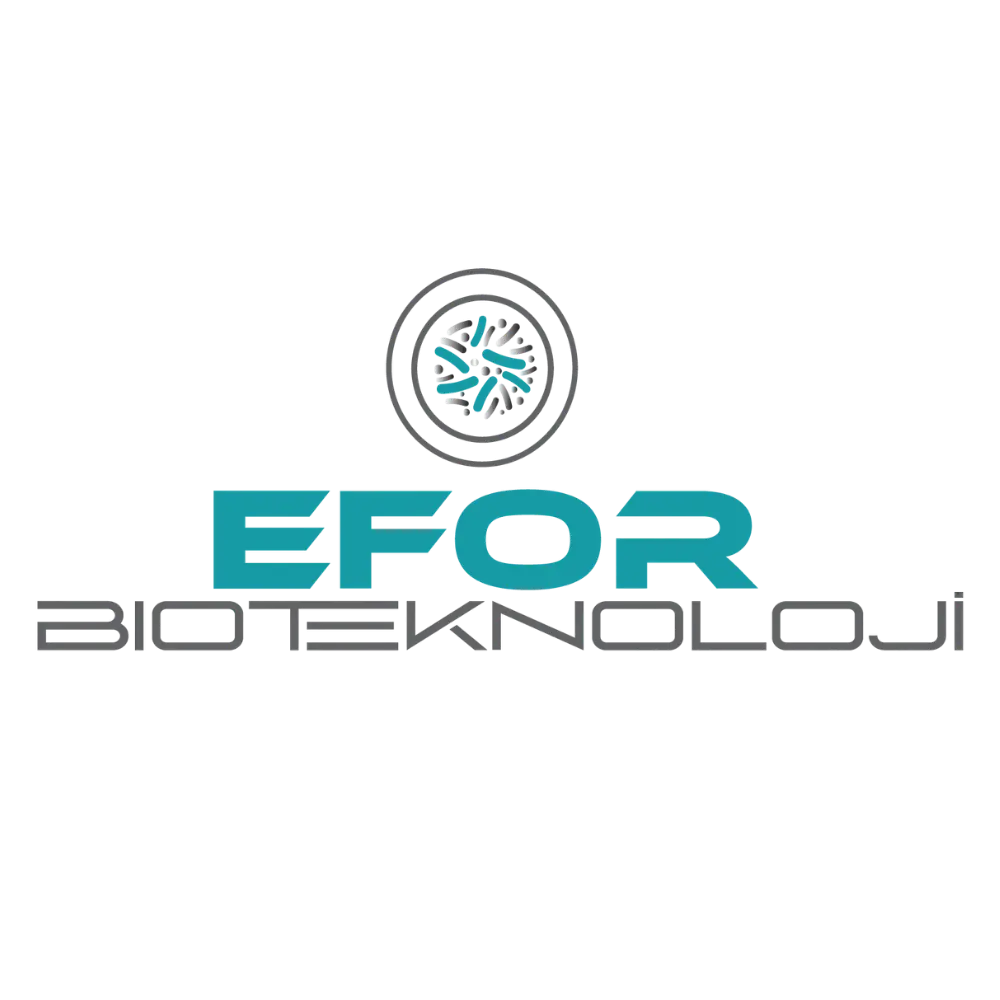 Efor Stock