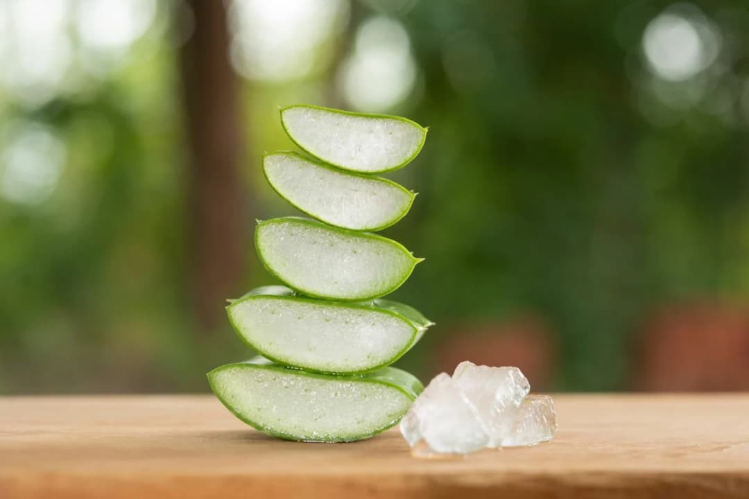 Aloe Vera Jel ile 10 Yntemde Cildinizi Ferahlandrn! | Agarta