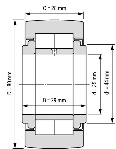 NUTR 3580  Rulman