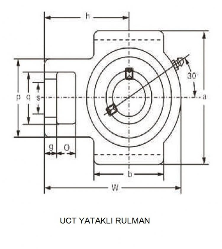 UCT308 LK Rulman