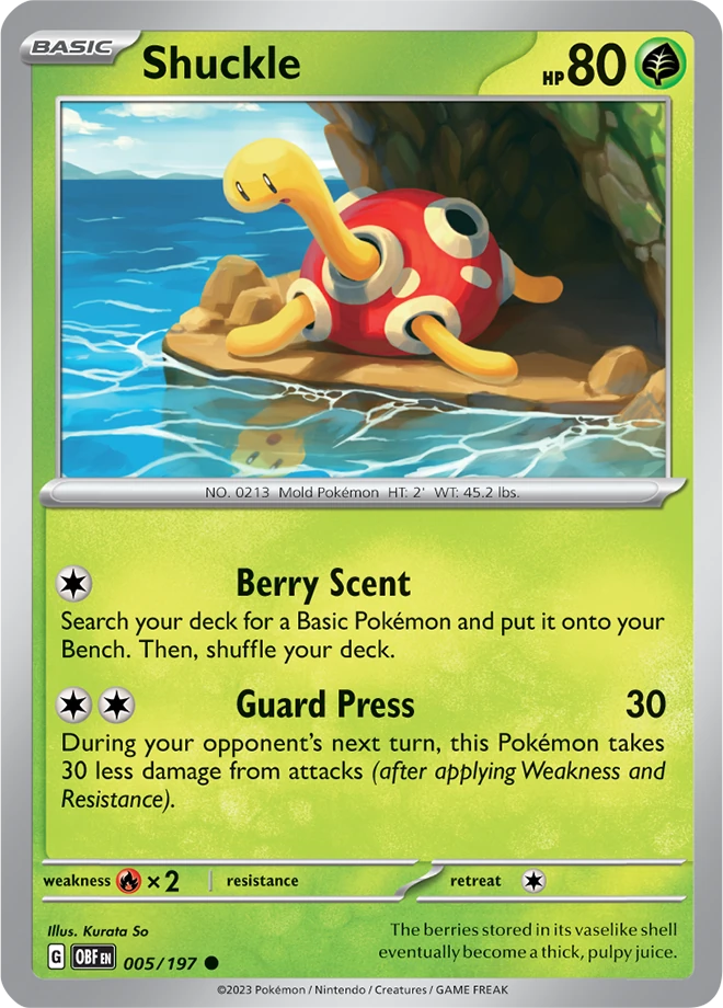 Shuckle 005/197