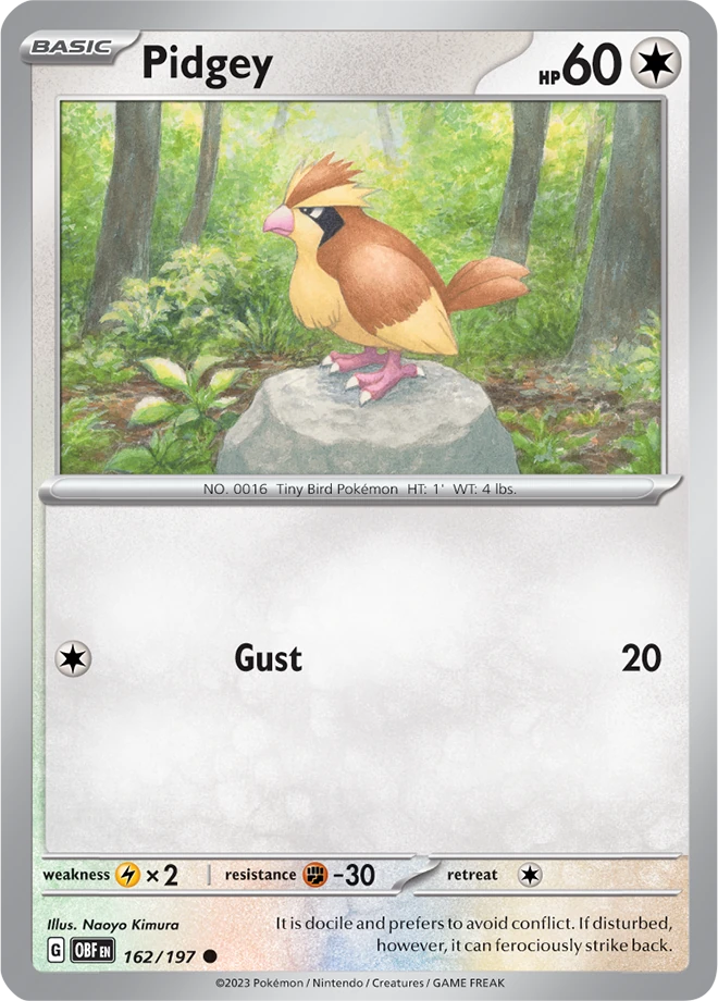 Pidgey 162/197