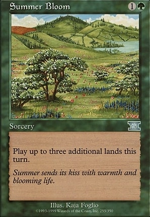 6th Edition: Summer Bloom