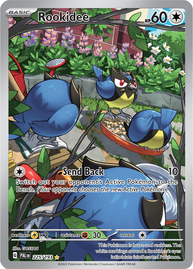 Rookidee 225/193