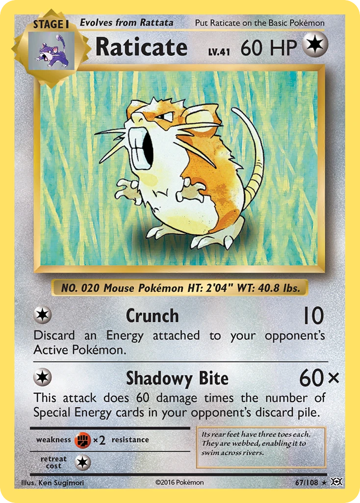 Raticate 67/108