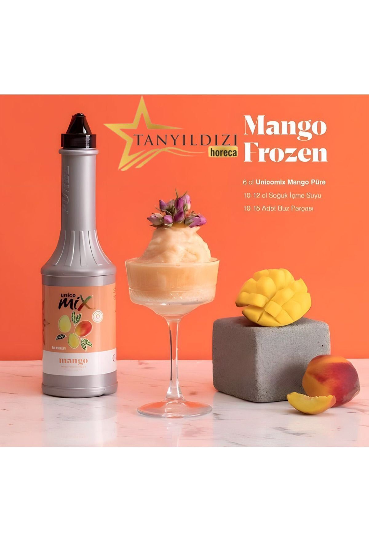 Mango Püre (1150G)