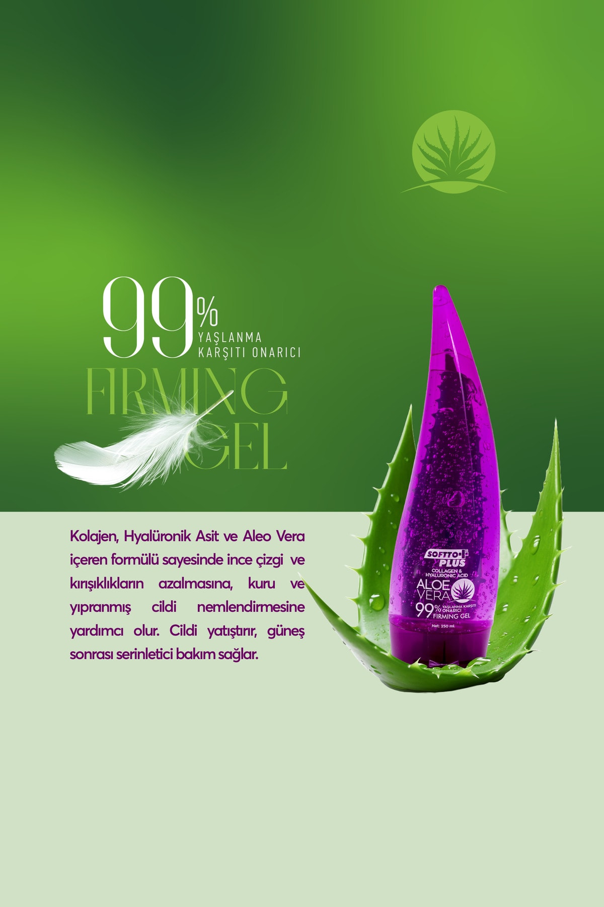 Yaşlanma Karşıtı Aloe Vera Jel 250 Ml