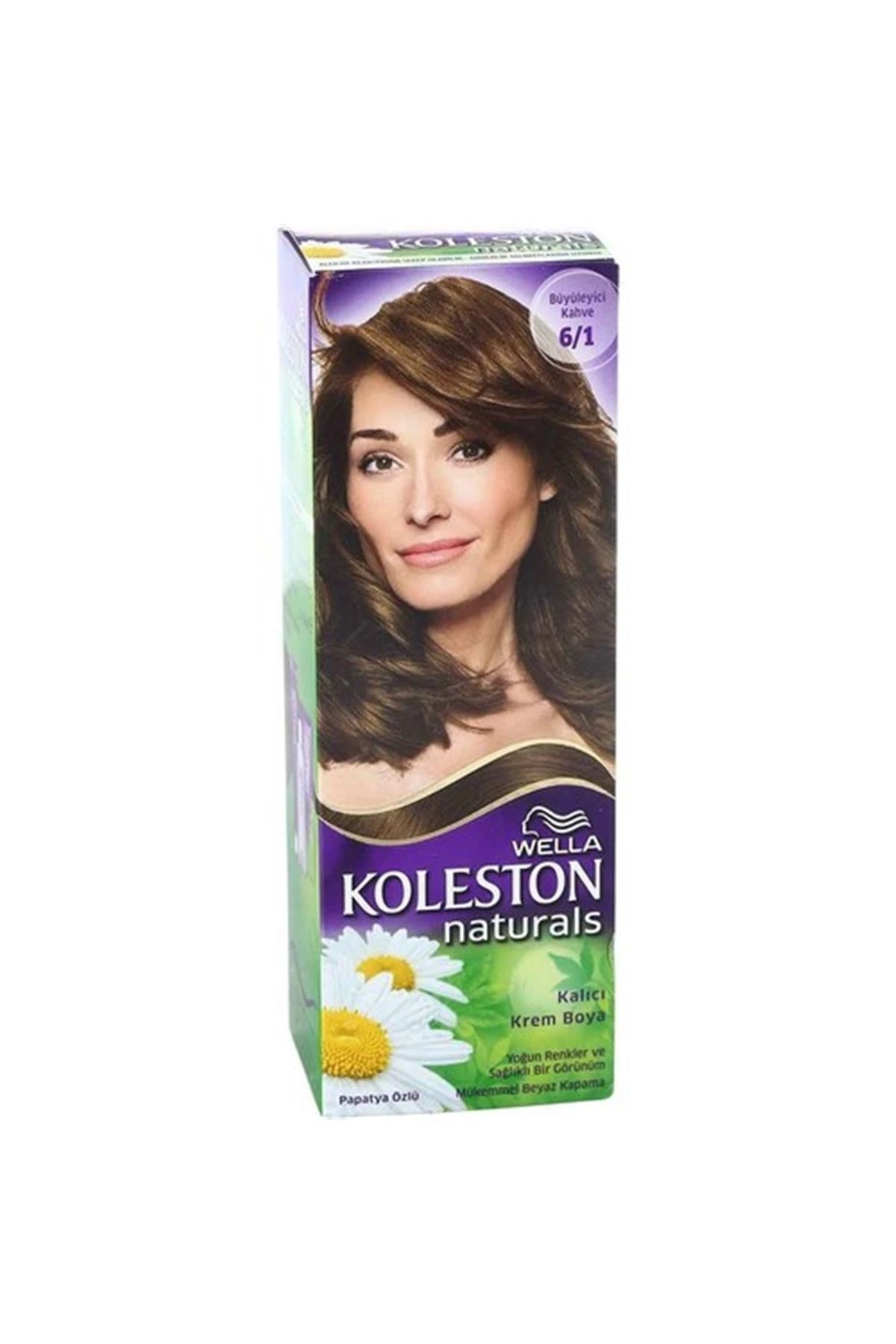 Naturals Maxi Saç Boyası & No: 6/1 Yeni