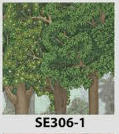 SEASONS POSTER