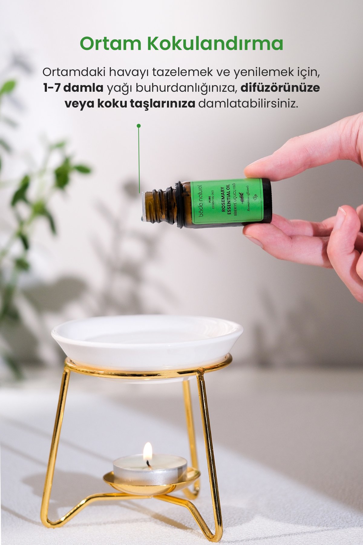 Biberiye Uçucu Yağı %100 Saf 10 ml