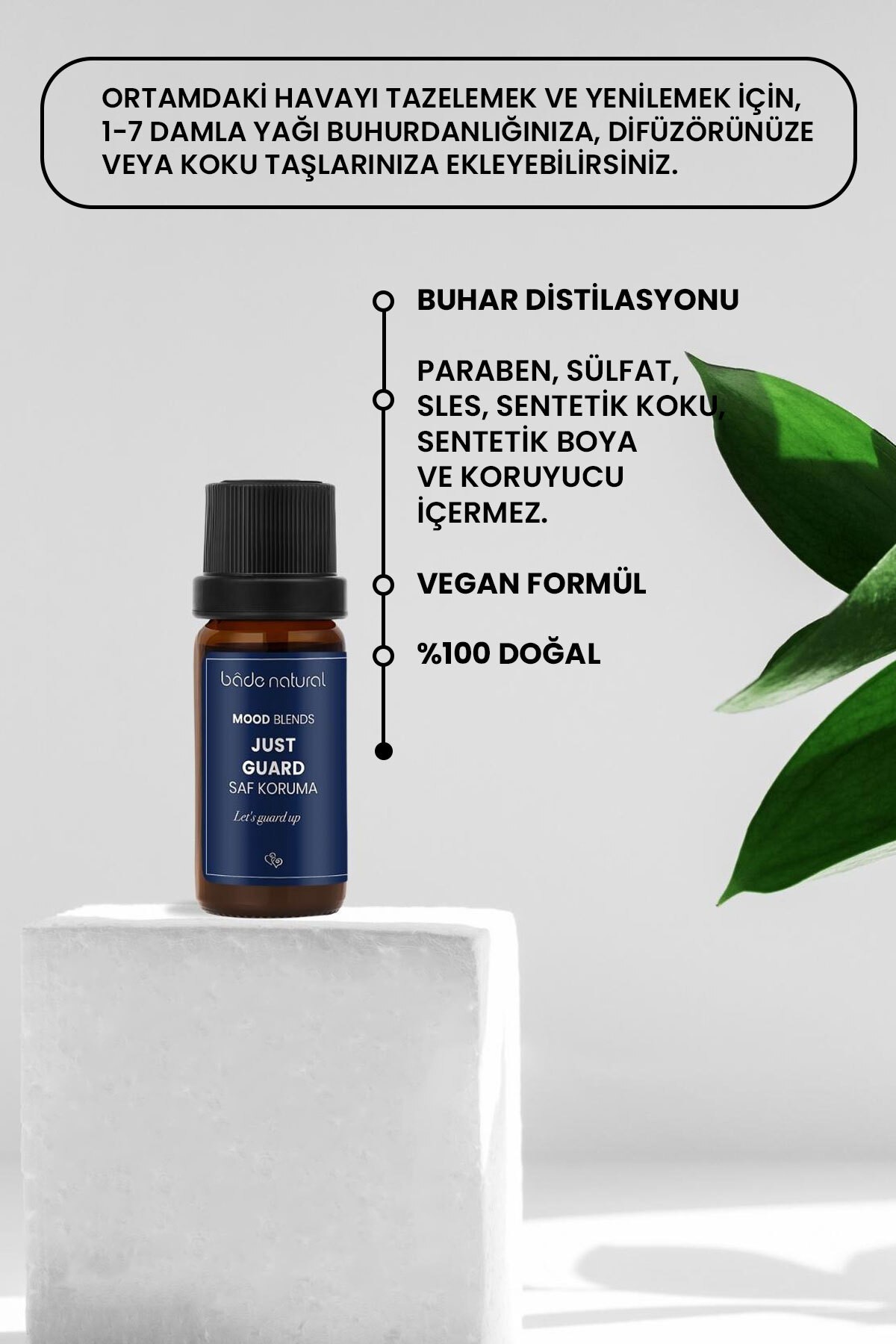 Saf Koruma Aromaterapi Karışımı 10 ml