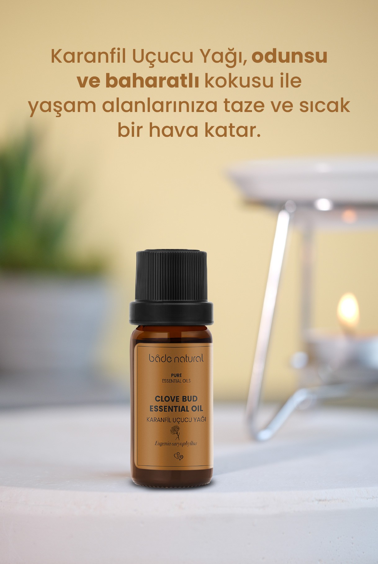 Karanfil Uçucu Yağı %100 Saf 10 ml