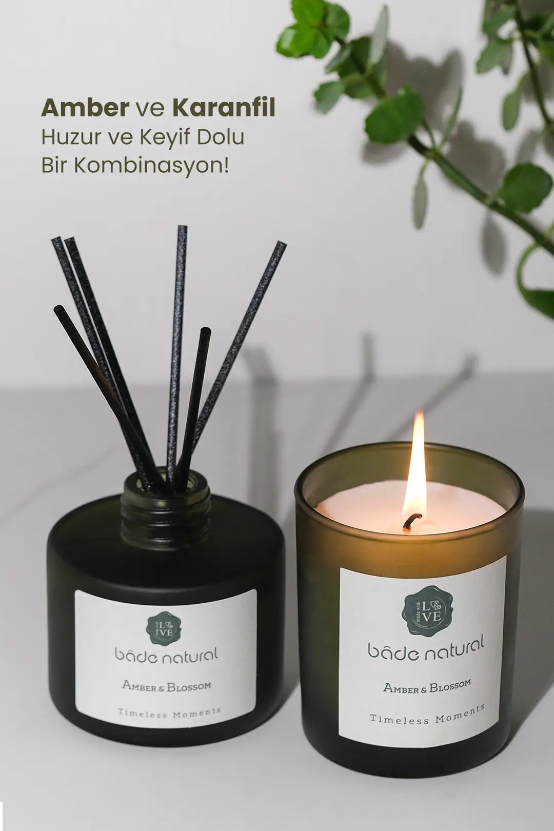 bn-398-8681529838071-timeless-