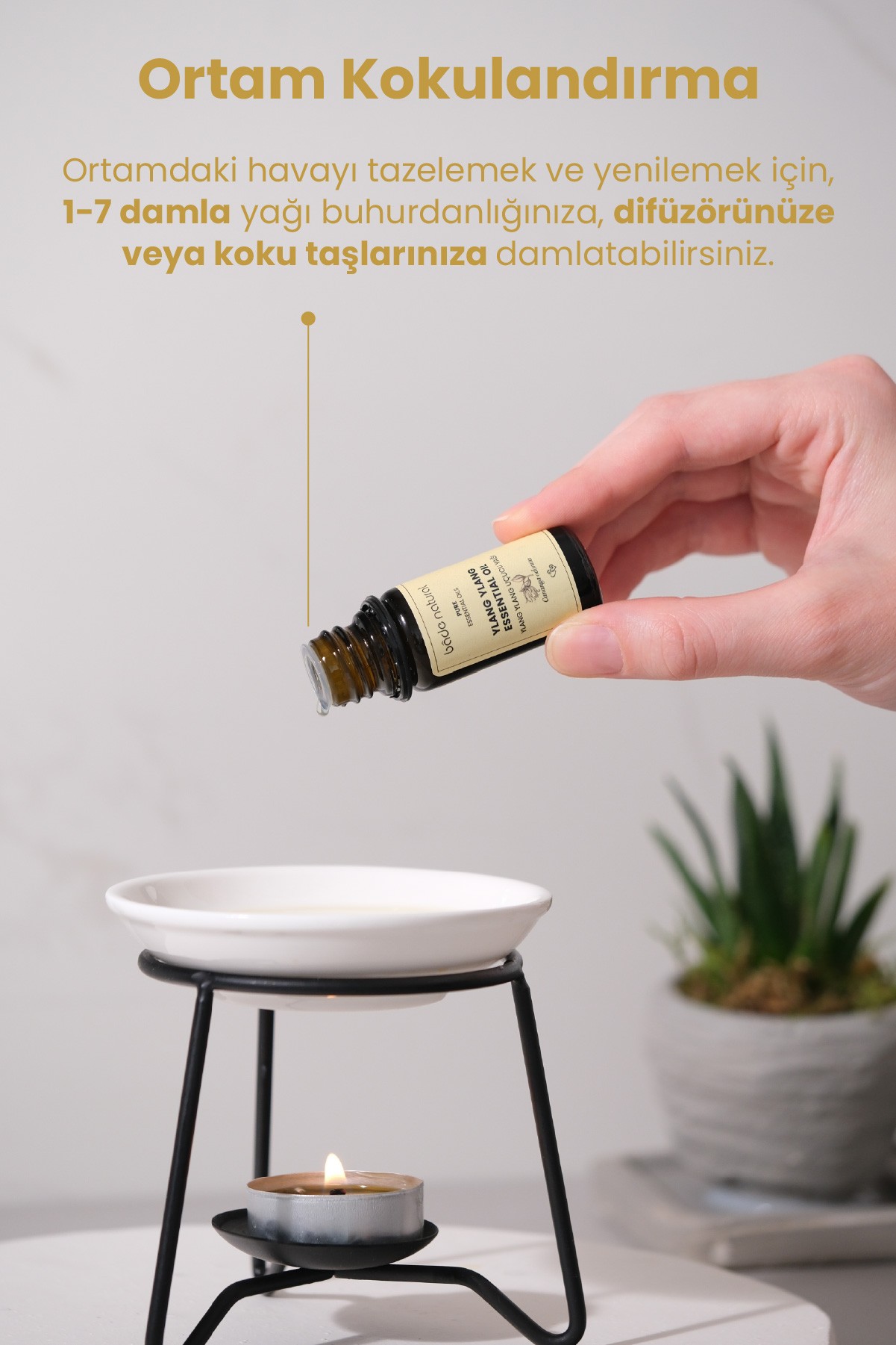 Ylang Ylang Uçucu Yağı %100 Saf 10 ml