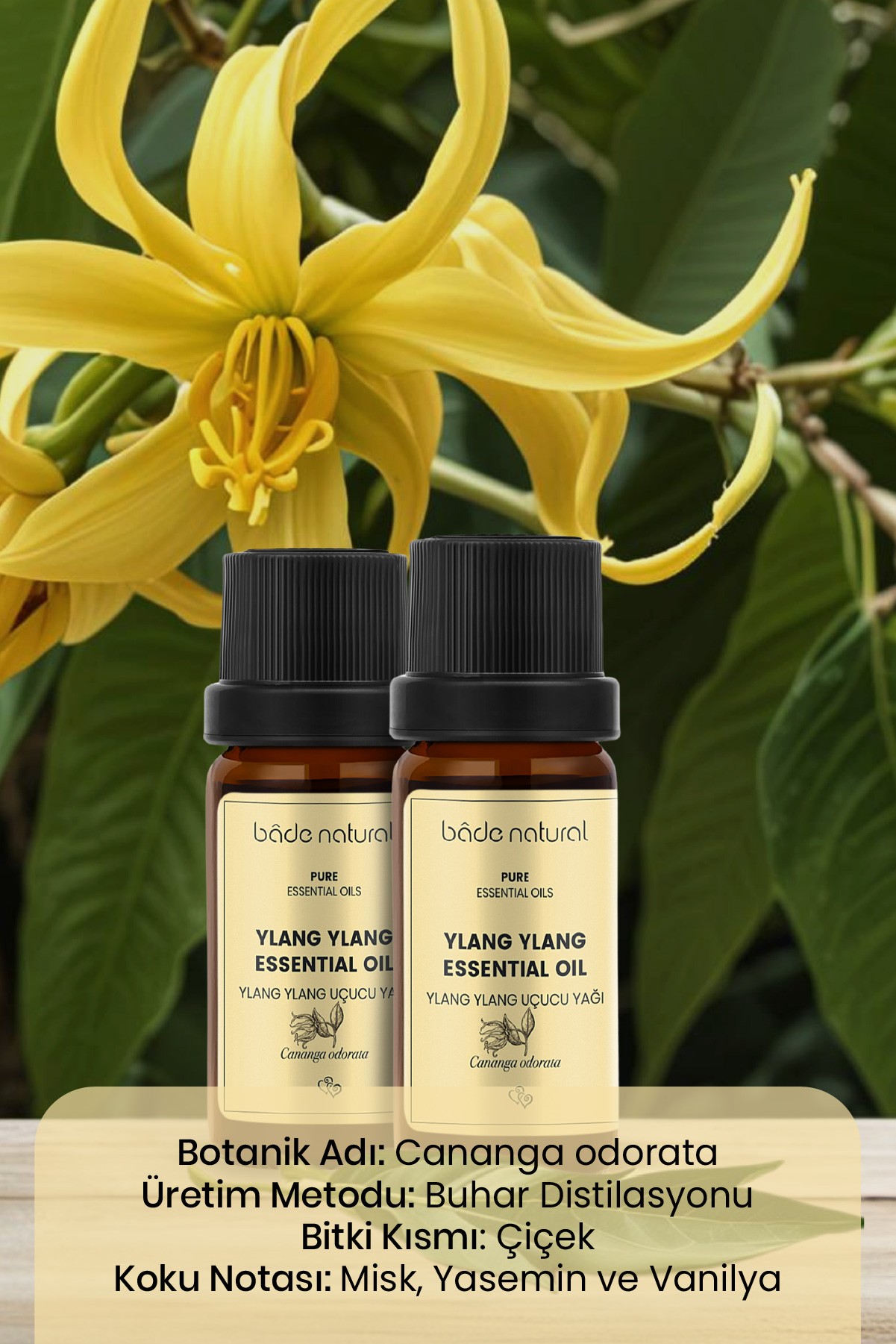 Ylang Ylang Uçucu Yağı %100 Saf 10 ml