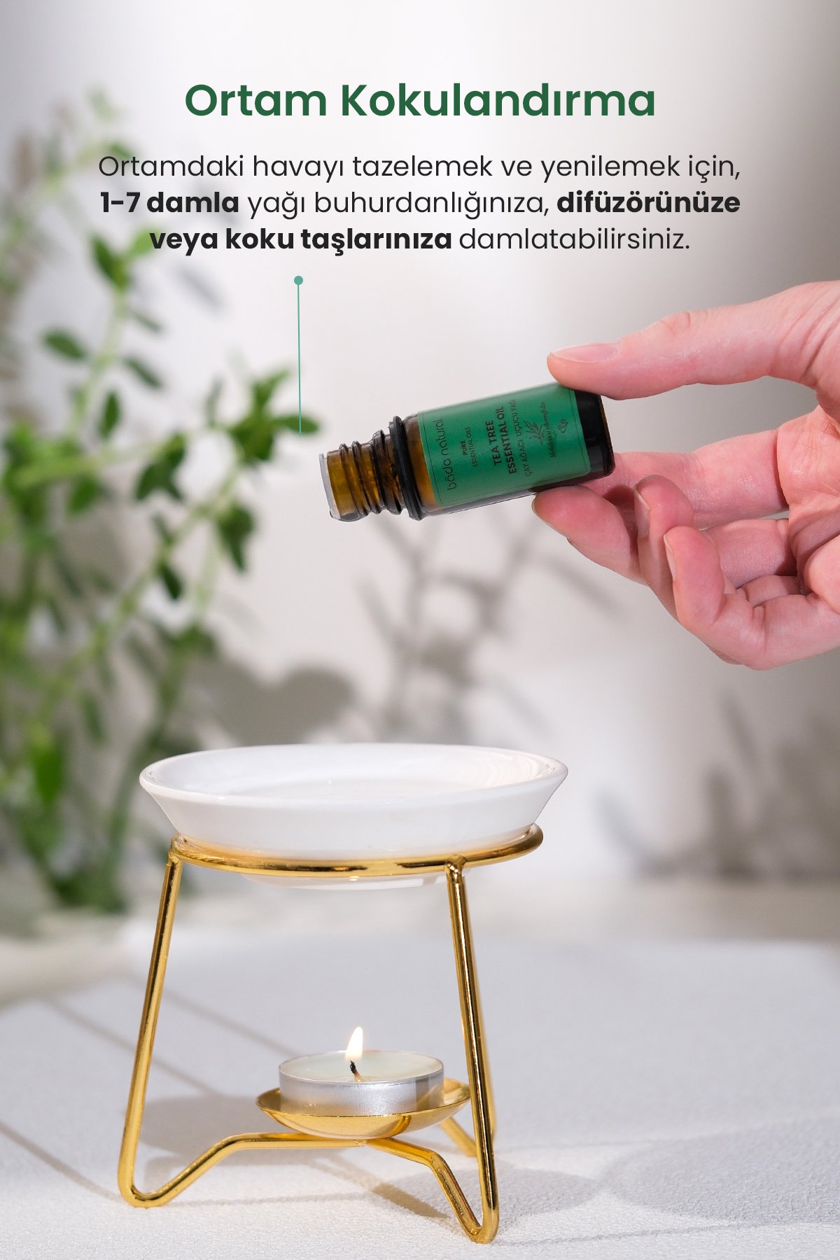 Çay Ağacı Uçucu Yağı %100 Saf 10 ml