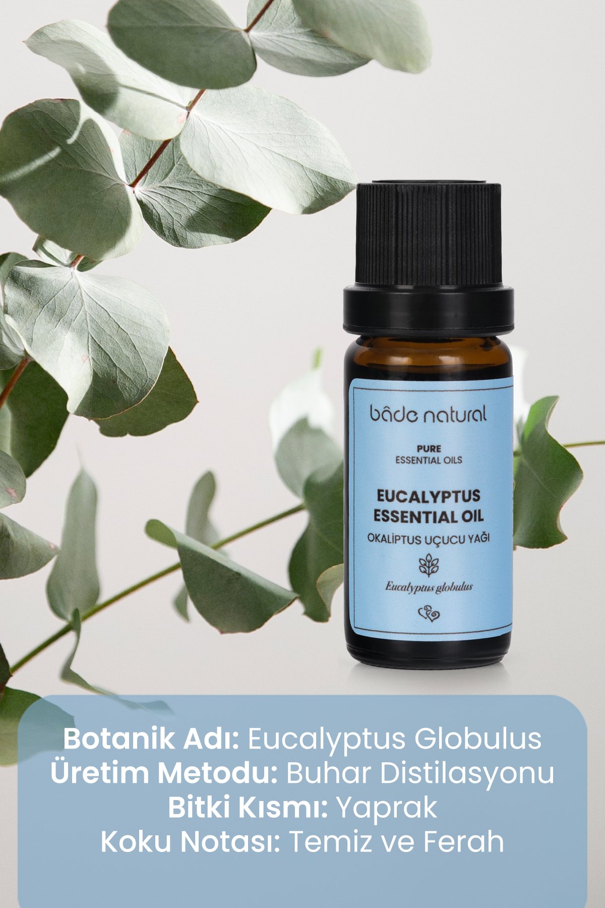 Okaliptus Uçucu Yağı %100 Saf 10 ml