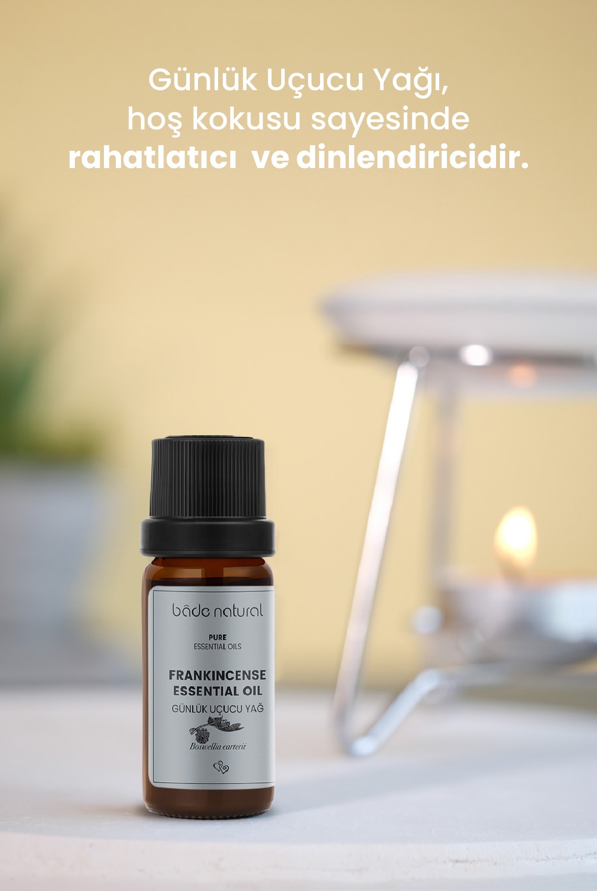 Sığla (Günlük) Uçucu Yağı %100 Saf 10 ml