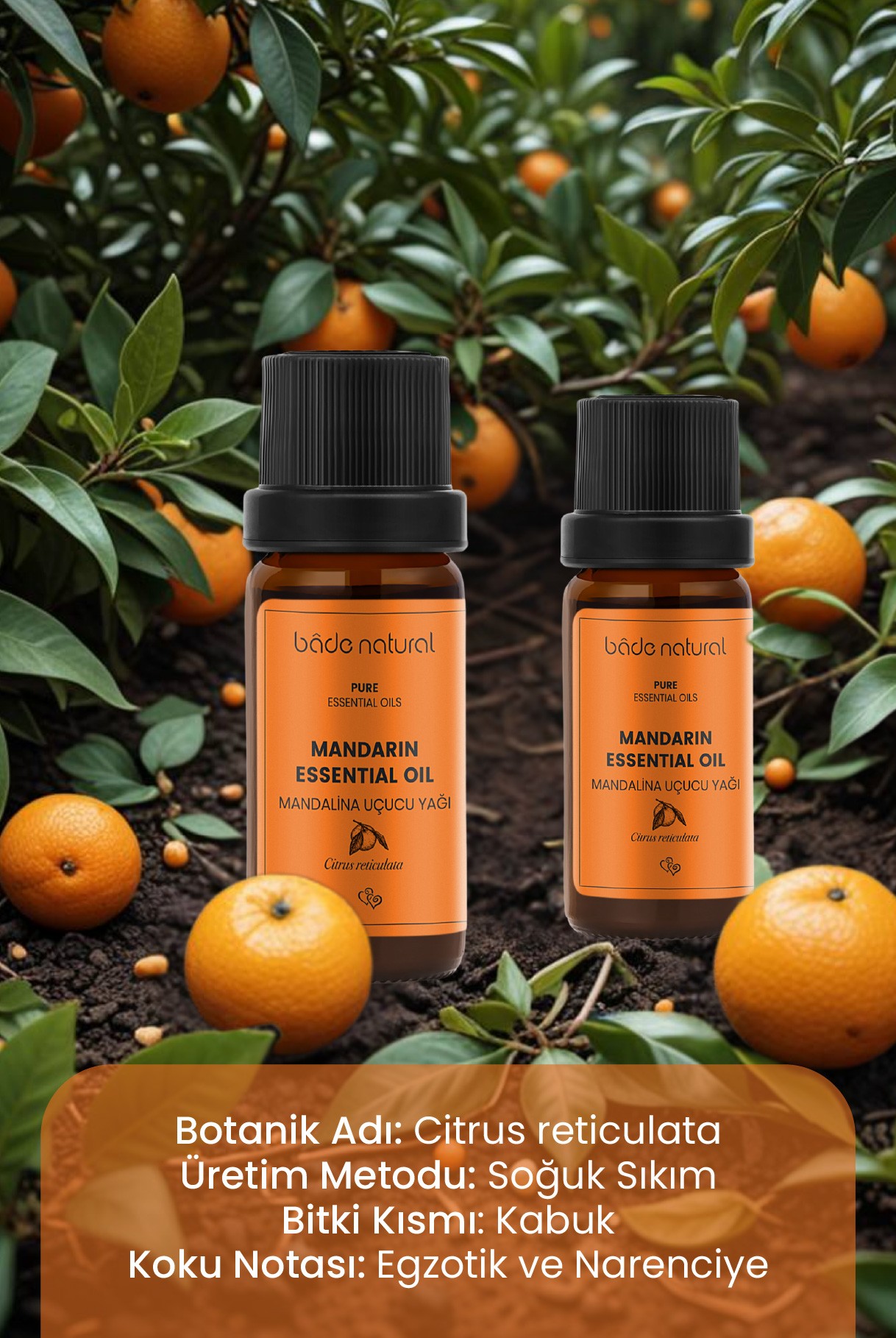 Mandalina Uçucu Yağı %100 Saf 10 ml