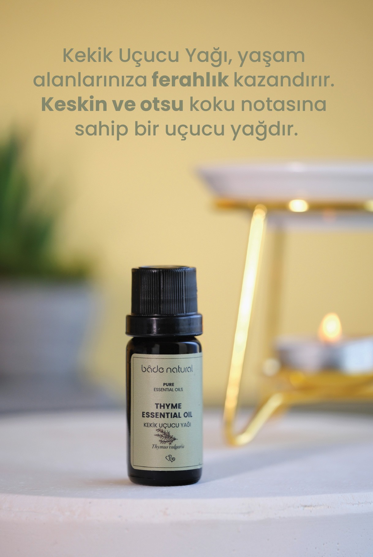 Kekik Uçucu Yağı %100 Saf 10 ml