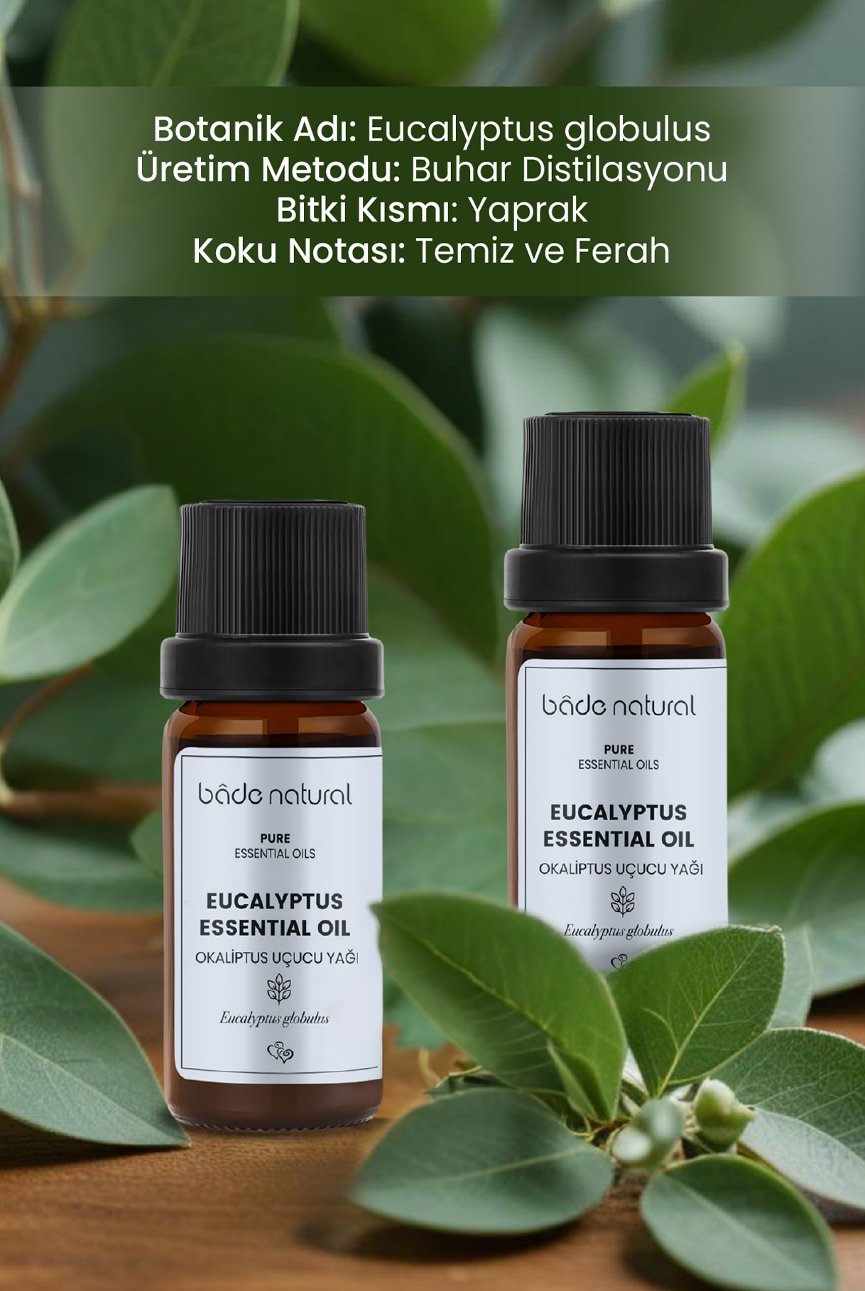 Okaliptus Uçucu Yağı %100 Saf 10 ml