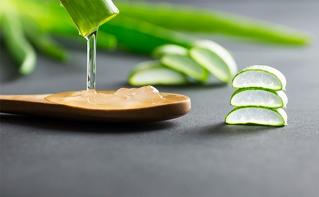 Aloe Vera Vücuda Nasıl Uygulanır?