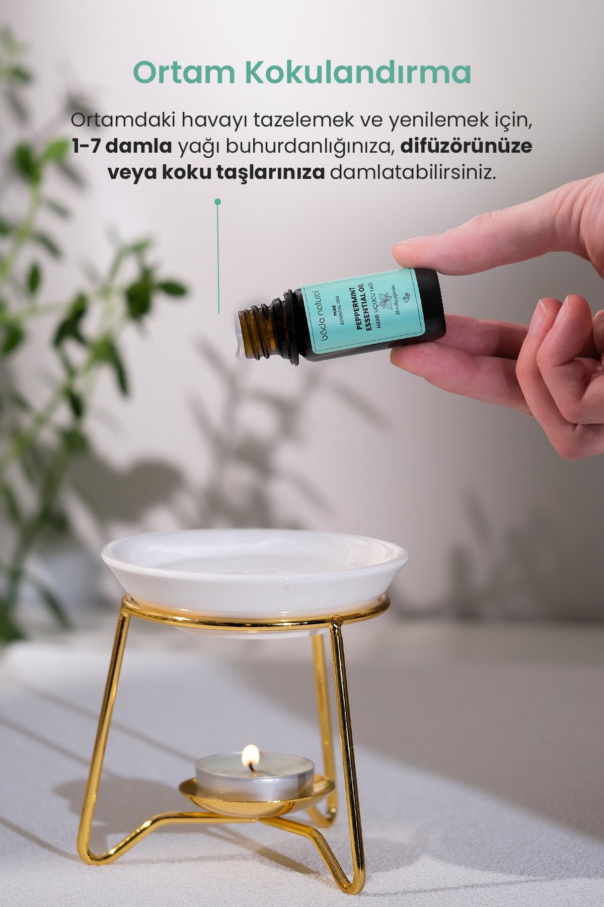 Nane Uçucu Yağı %100 Saf 10 ml