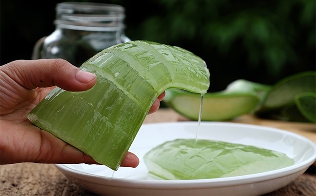 Aloe Vera Cilde Nasıl Uygulanır?