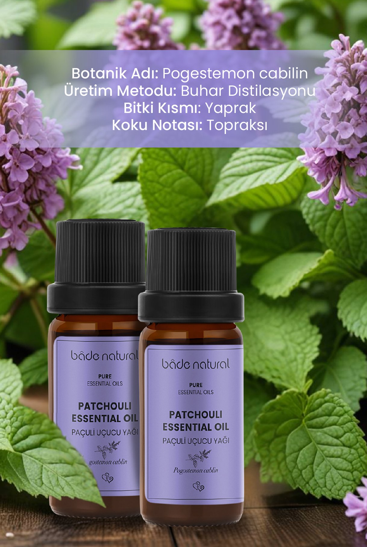 Paçuli Uçucu Yağı %100 Saf 10 ml