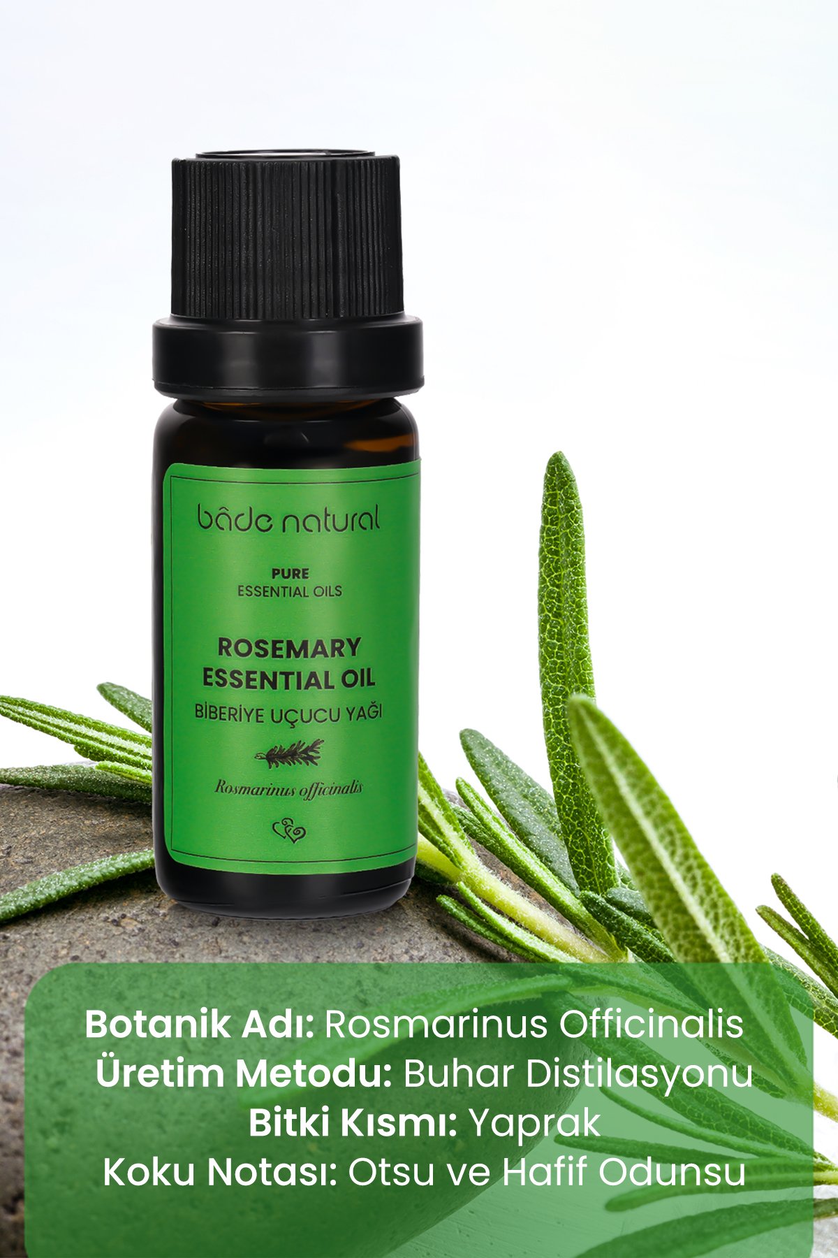 Biberiye Uçucu Yağı %100 Saf 10 ml