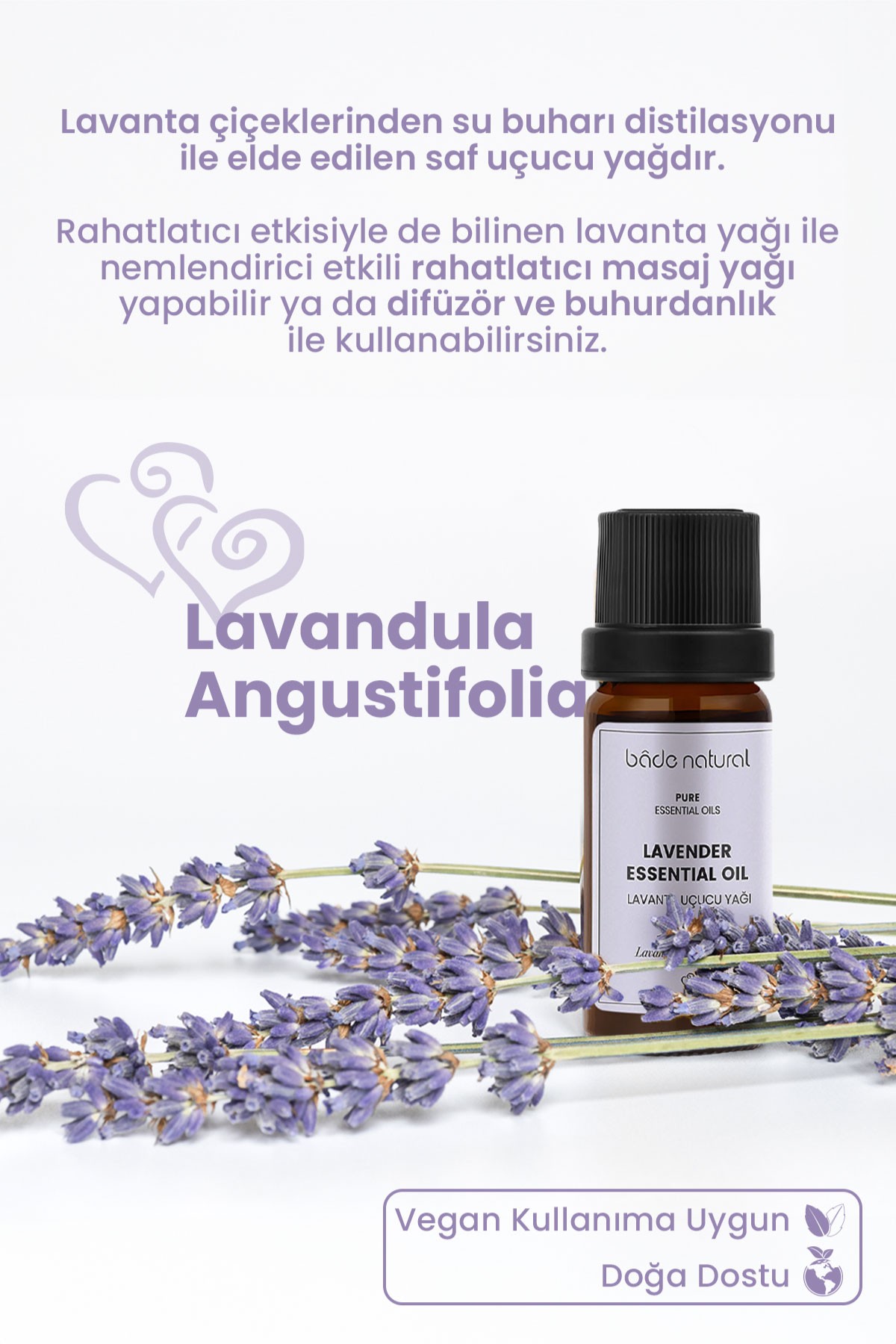 Lavanta Uçucu Yağı %100 Saf 10 ml