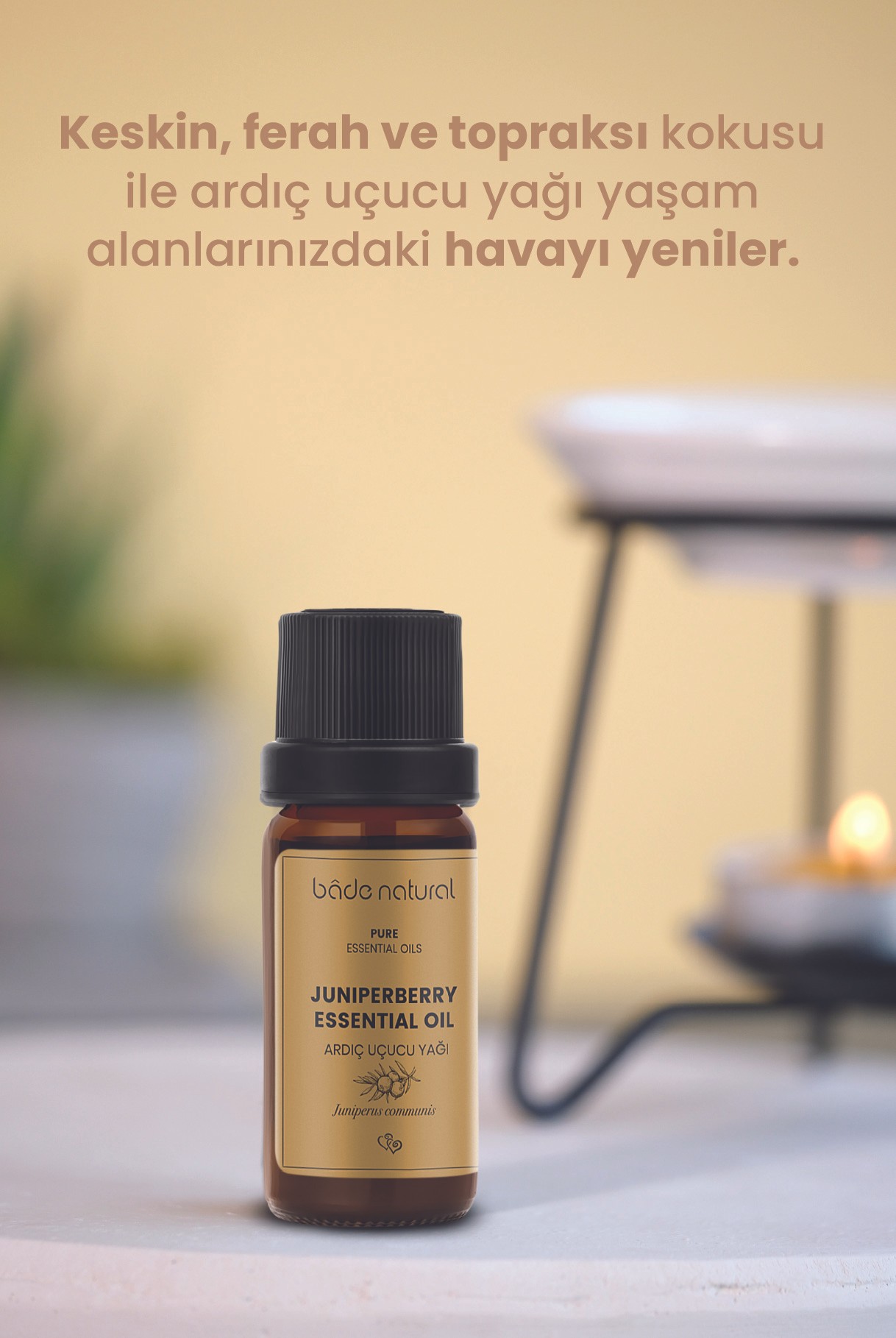 Ardıç Uçucu Yağı %100 Saf 10 ml