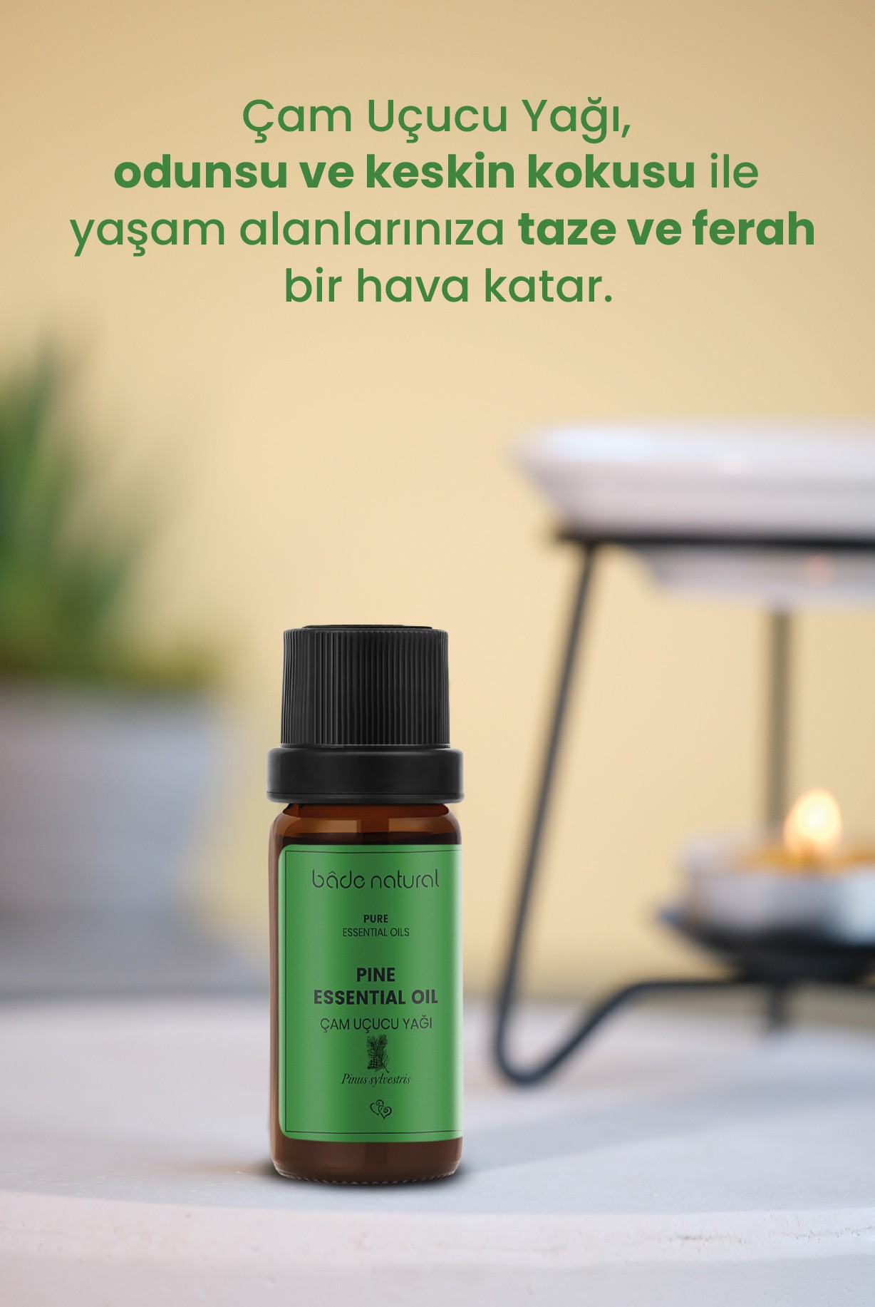 Çam Uçucu Yağı %100 Saf 10 ml