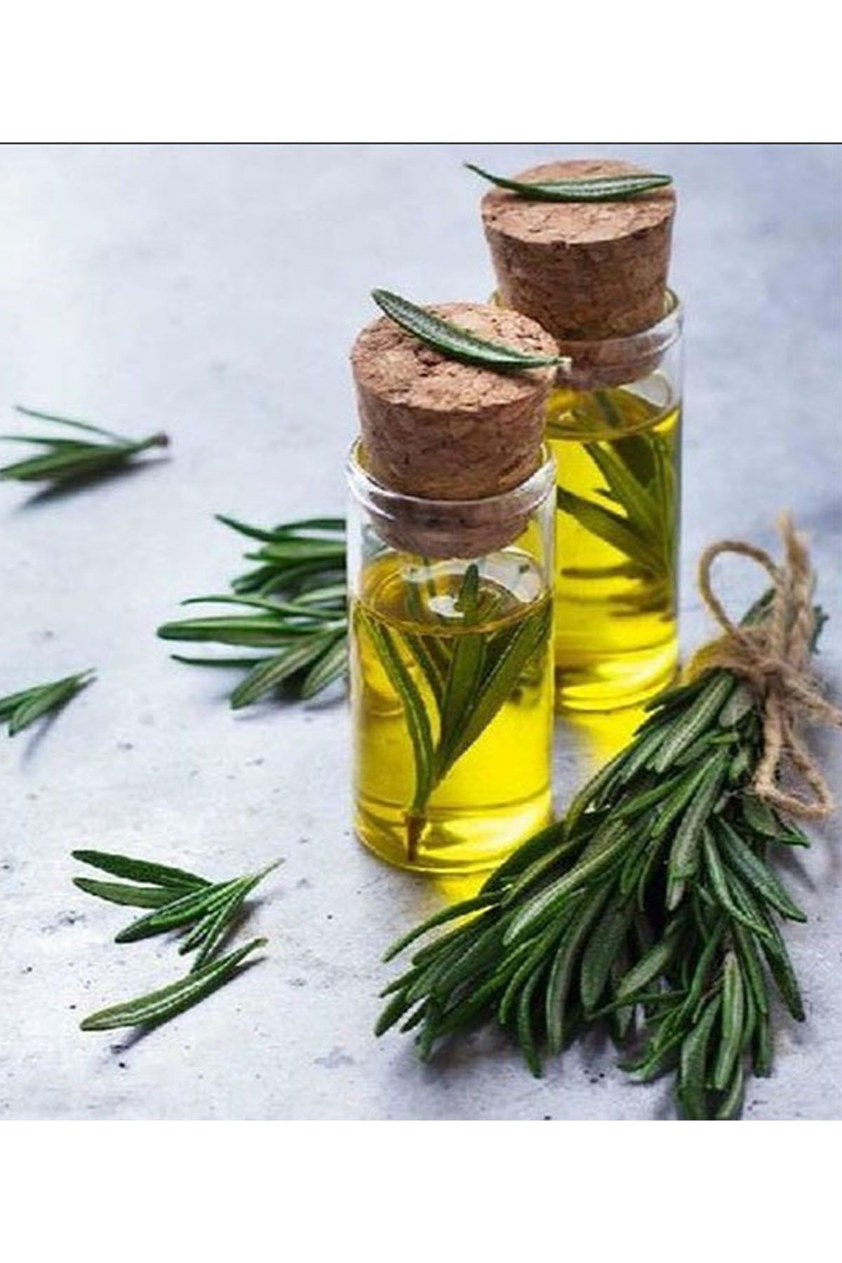 Biberiye Yağı - Distilasyon 20 ml