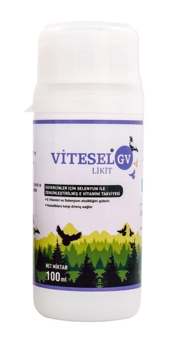 VİTESEL GV LİKİT