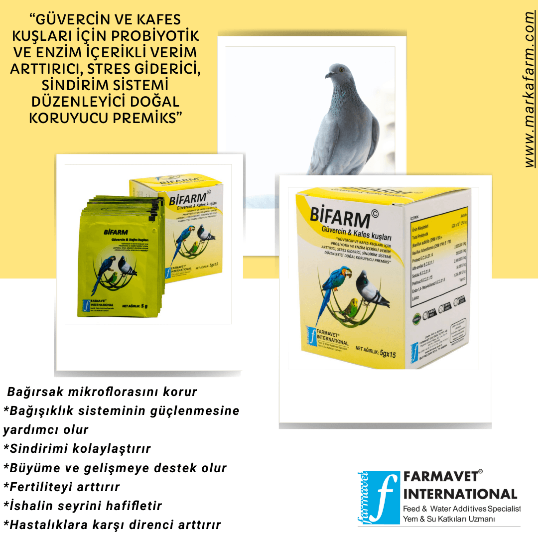 BİFARM GÜVERCİN VE KAFES KUŞLARI - 5X15 GR