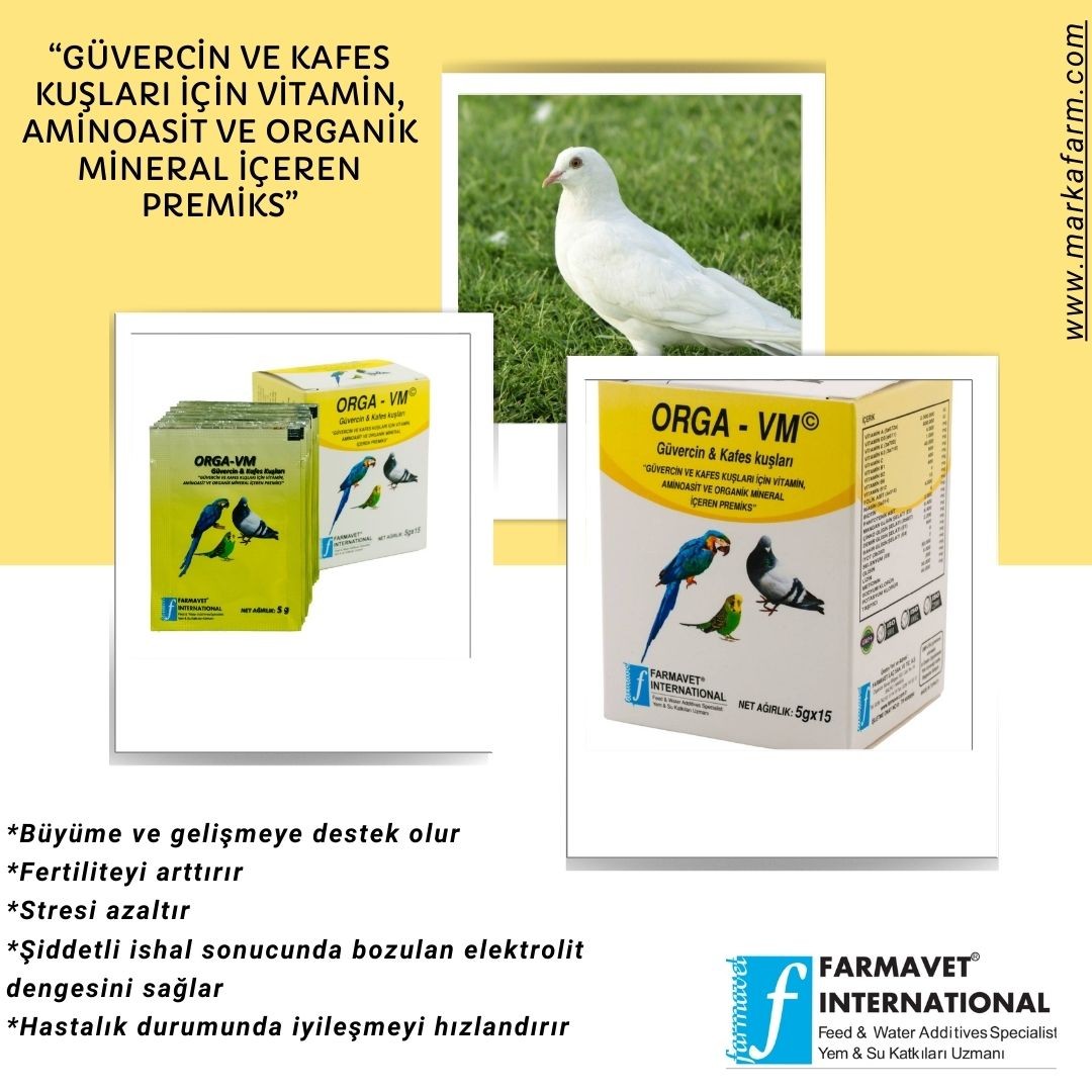 ORGA VM GÜVERCİN VE KAFES KUŞLARI - 5X15 GR