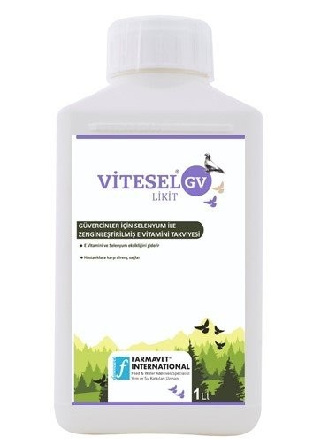 VİTESEL GV LİKİT